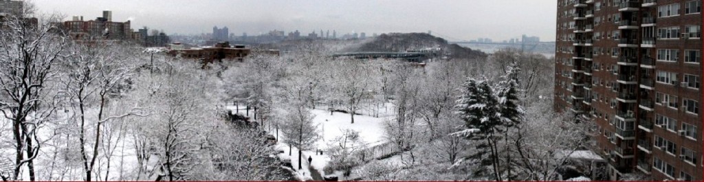 NY Winter panorama Photo TomBarat